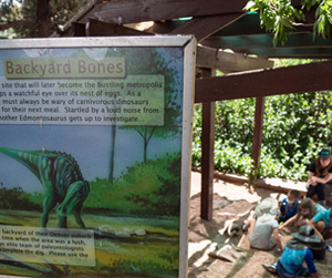 Backyard Bones: Dinosaur Dig Program at Dinosaur Ridge