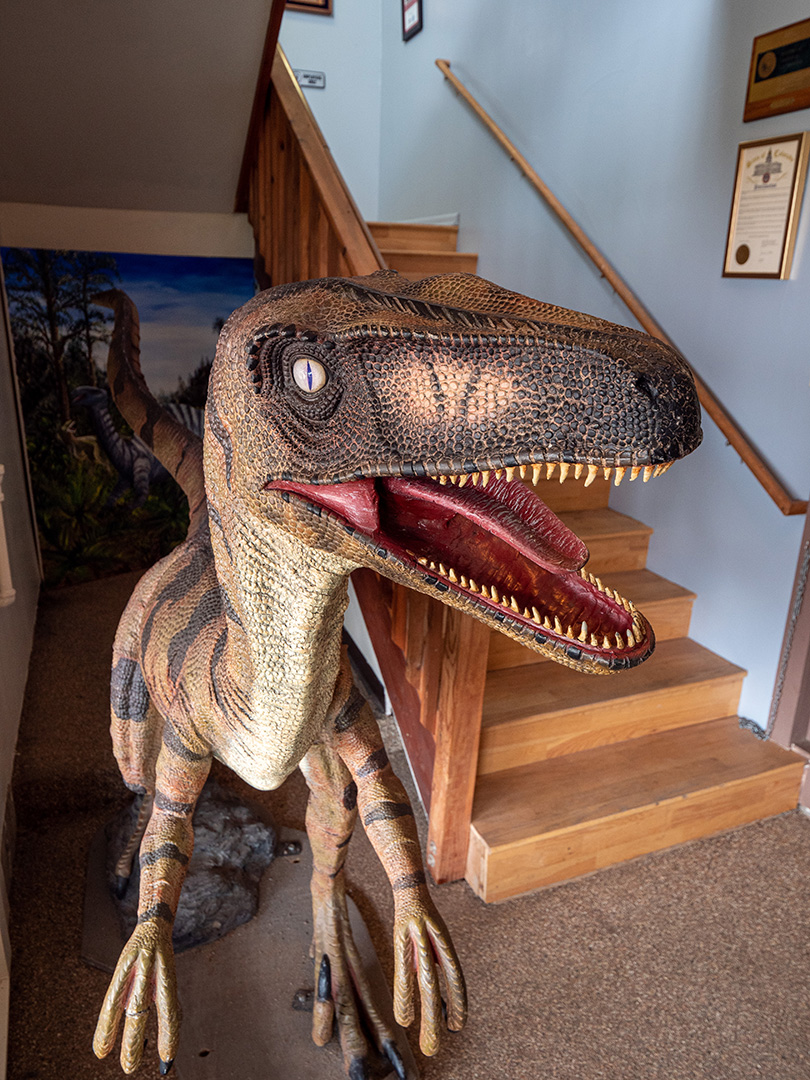 Dinosaur Ridge Exhibit Hall
