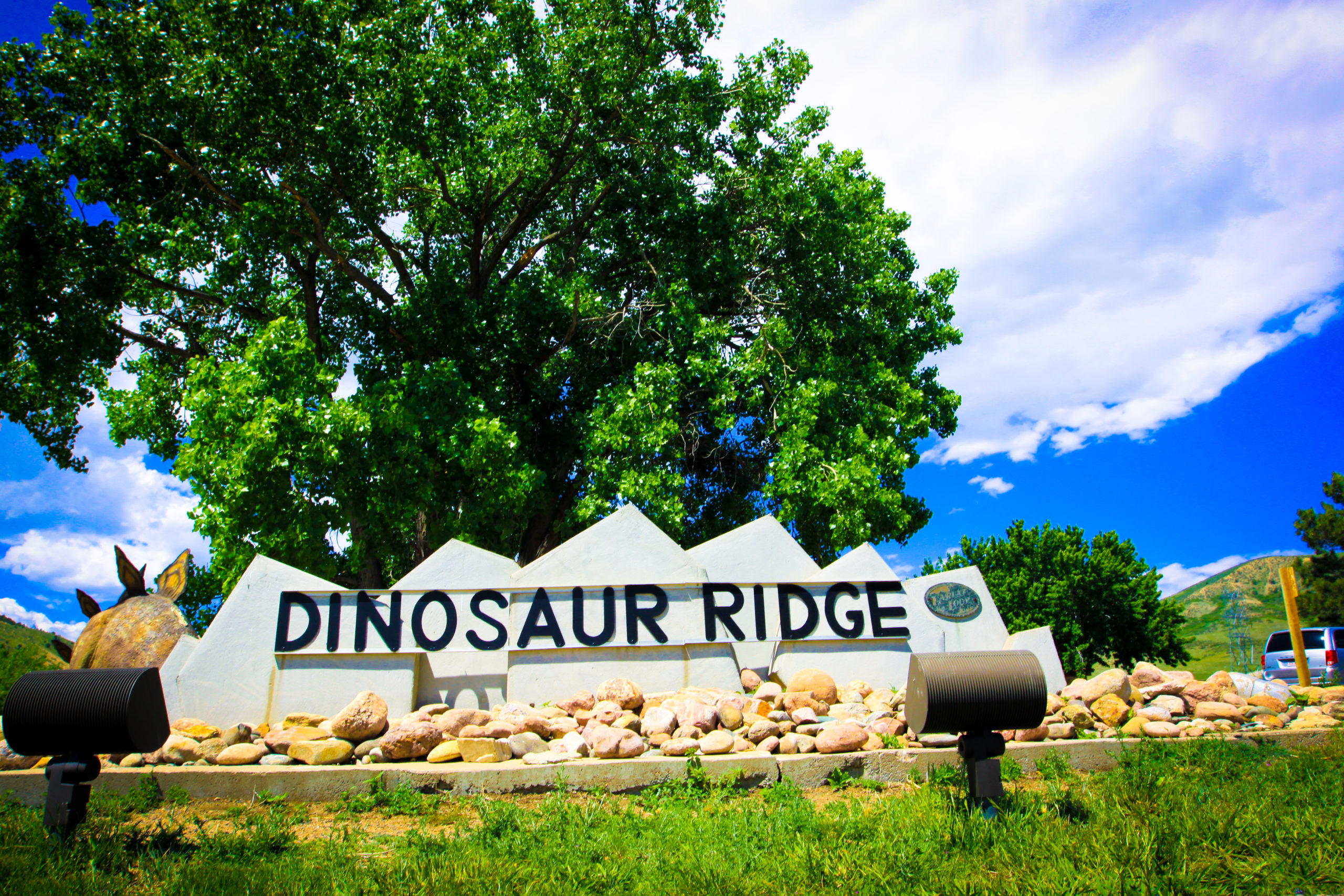 Dinosaur Freeways Virtual Program at Dinosaur Ridge