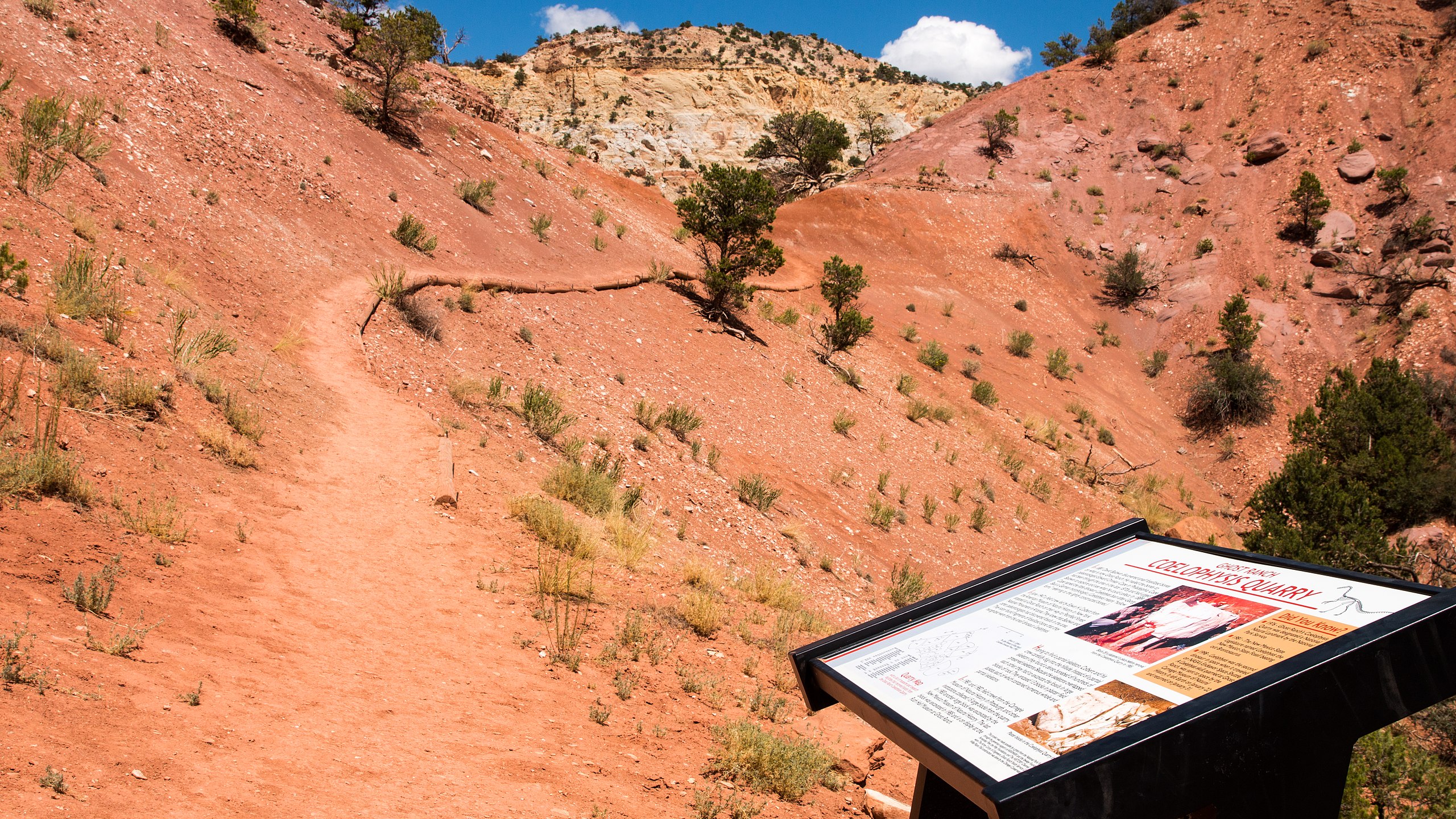 Ghost_Ranch_NNL_(Coelophysis_Quarry)_(35766606070)
