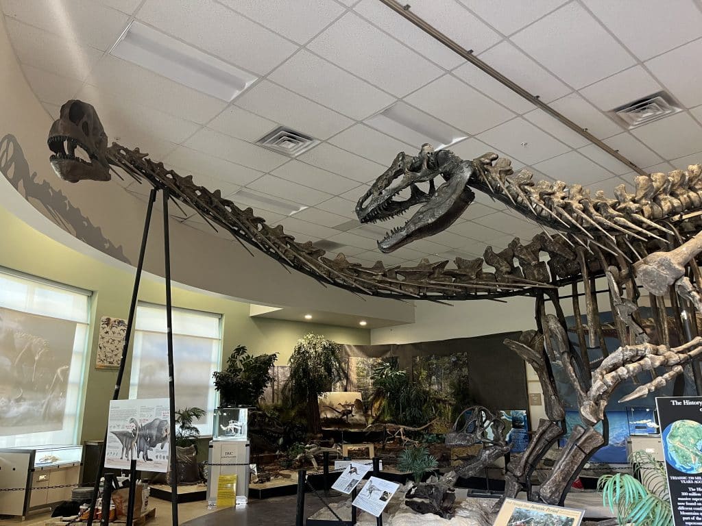 Museum-at-Dino-Junction--1024x768