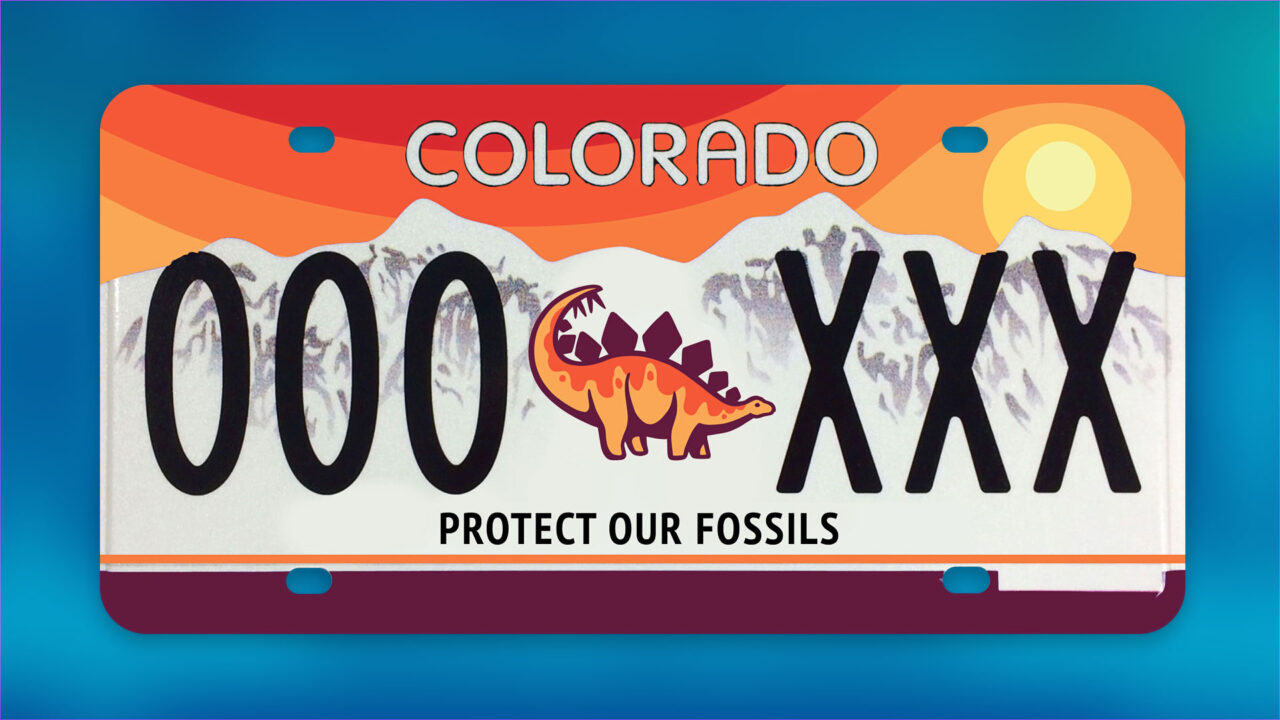 Stegosaurus License Plate Dinosaur Ridge