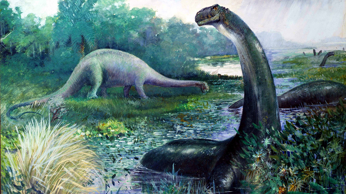 Image of Brontosaurus in the water and Diplodocus on the land by Charles R. Knight