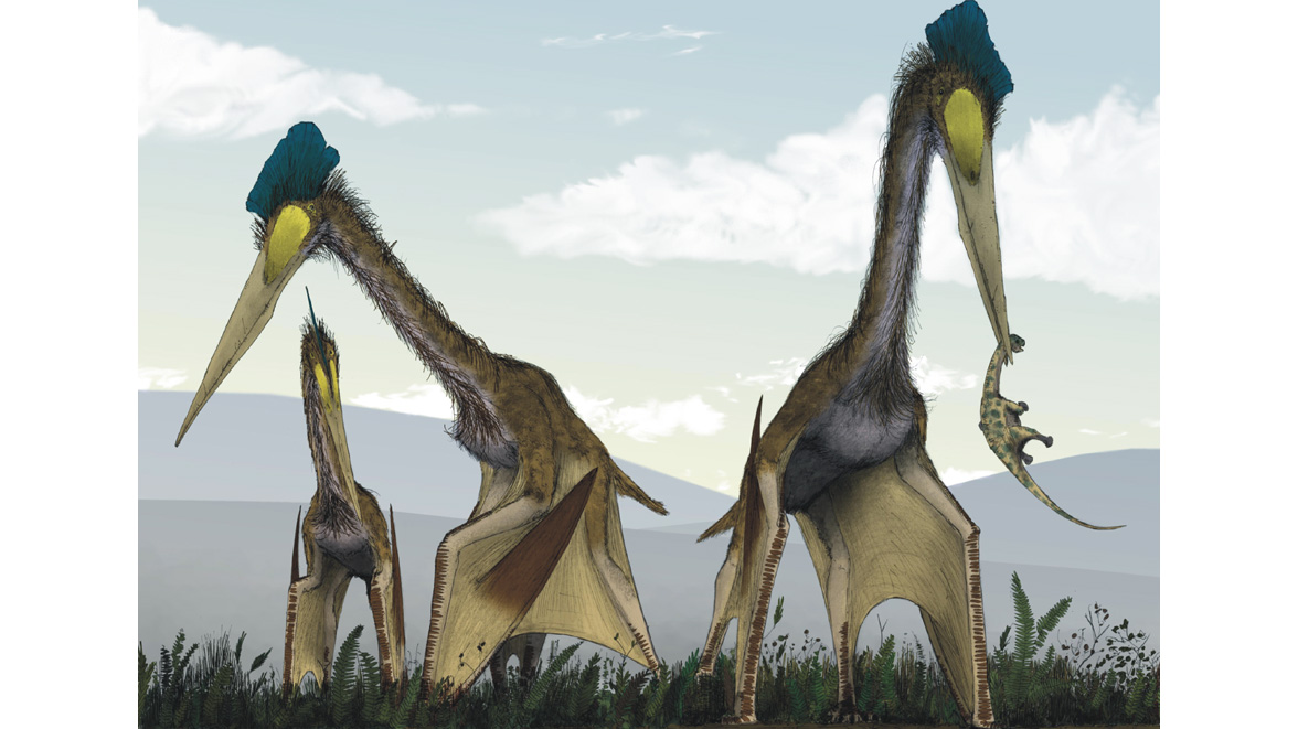 Life restoration of a group of giant azhdarchids, Quetzalcoatlus northropi, foraging on a Cretaceous fern prairie