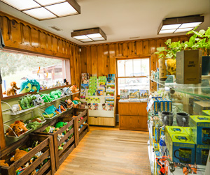 gift shop