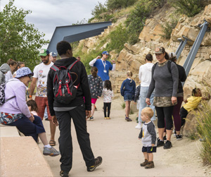 Volunteer at Dinosaur Ridge