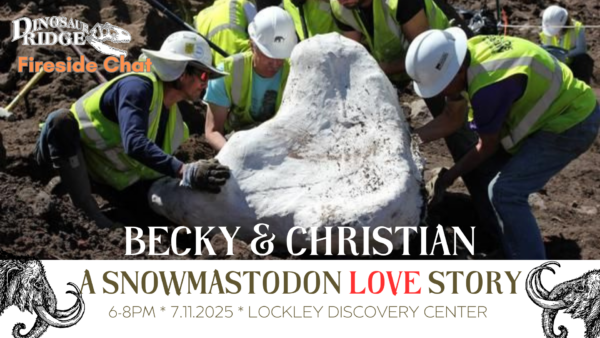 Promotional image of a fossil dig site in Snowmass Village, Colorado.