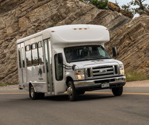 Guided Bus Tours