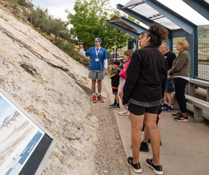 Guided Walking Tour