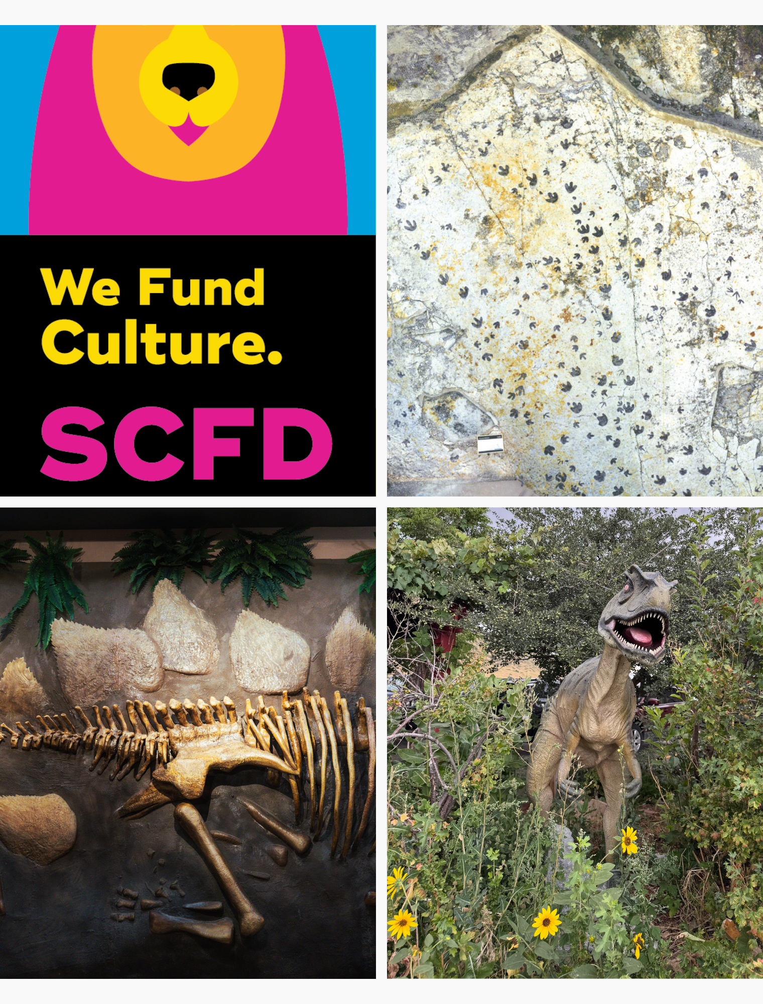 photos of dinosaur ridge with scfd logo