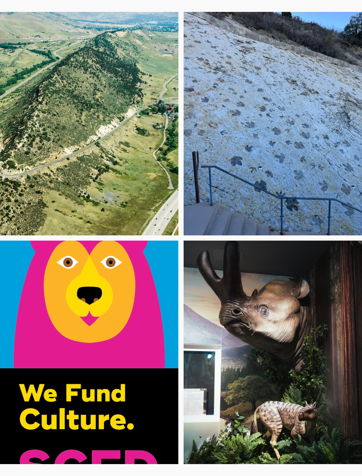 images of dinosaur ridge and scfd logo