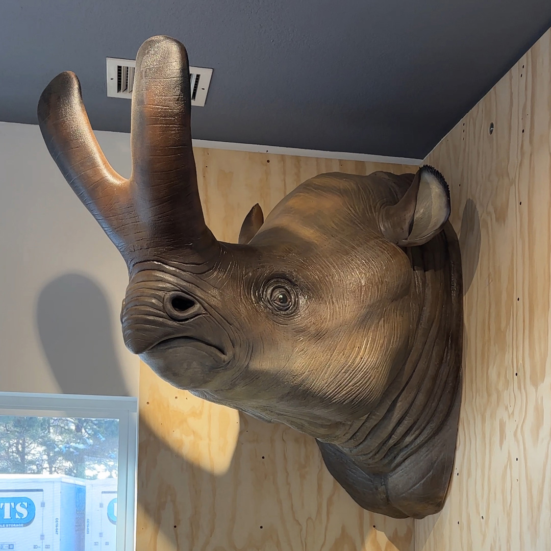 Brontothere head sculpture