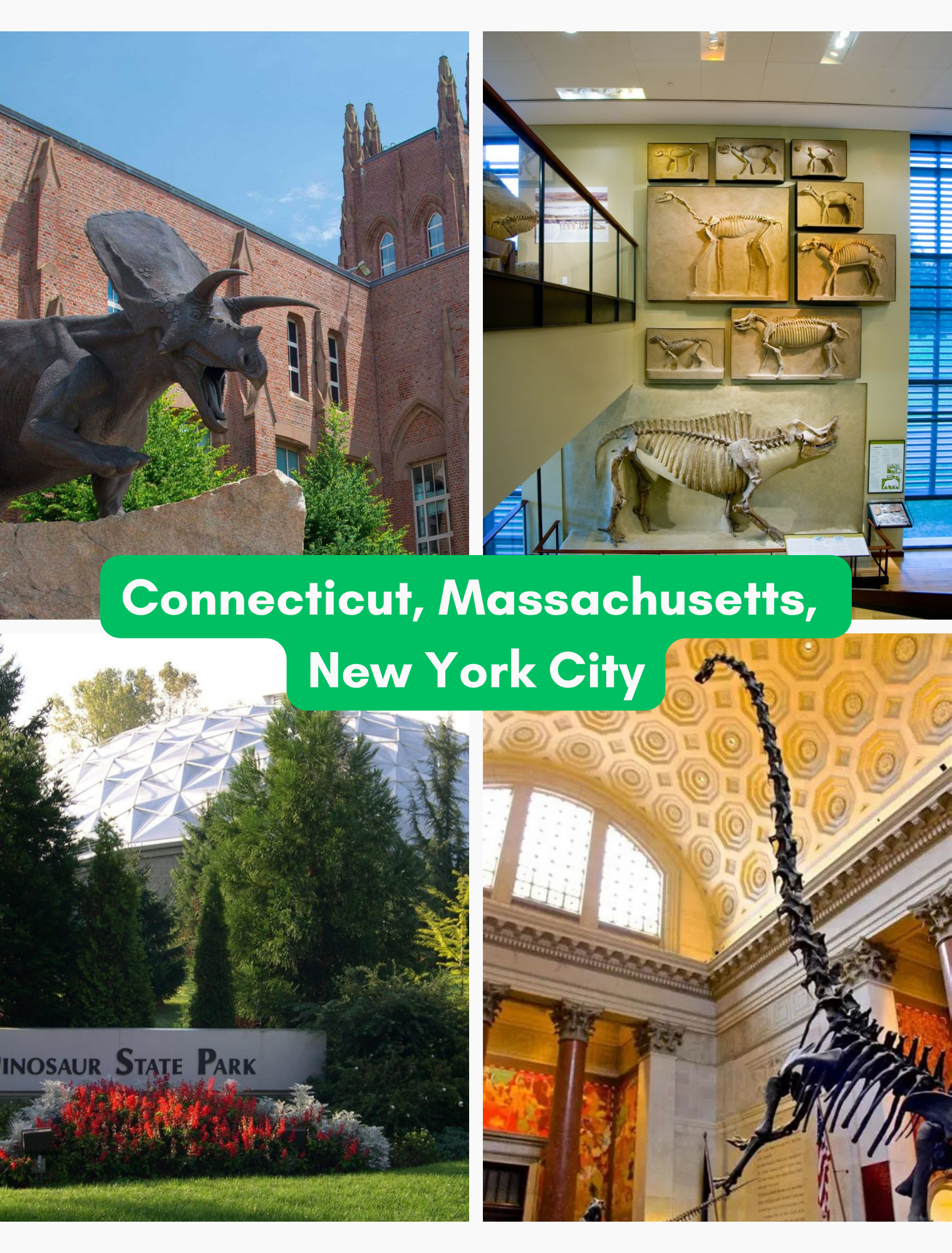 images from 4 museums and parks in New England and NYC