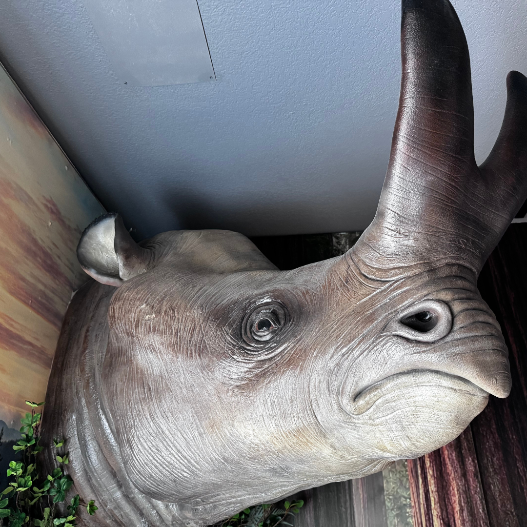 Sculptured head of extinct mammal mounted on wall.