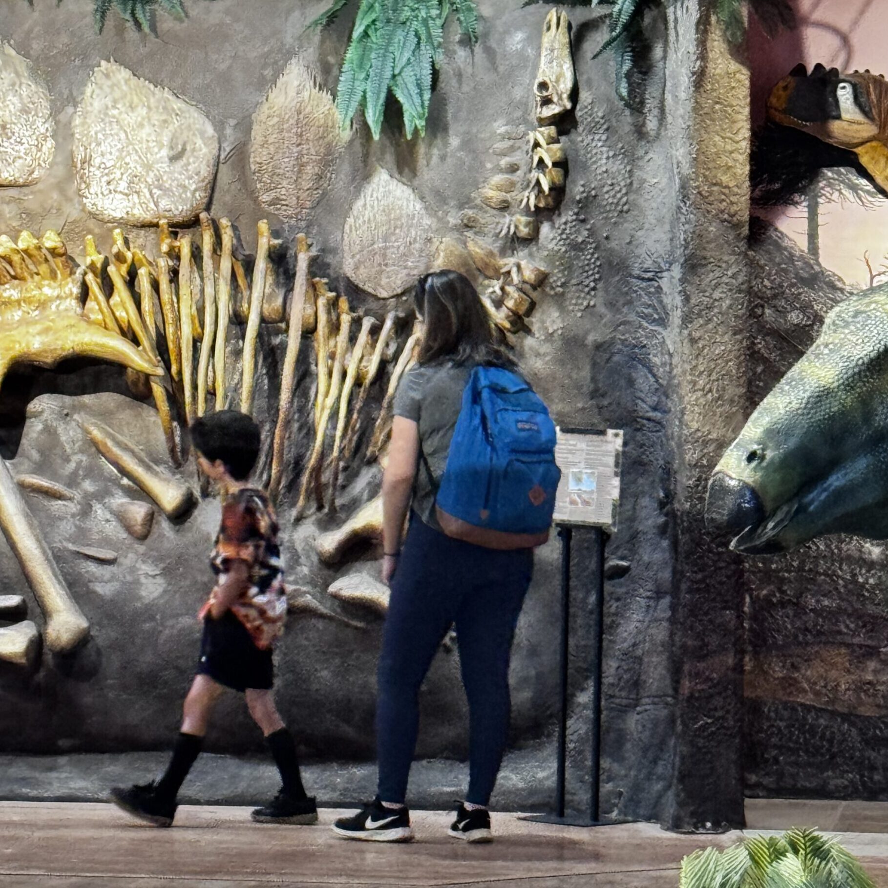 Mother and son walk past the Stegosaurus skeleton display.