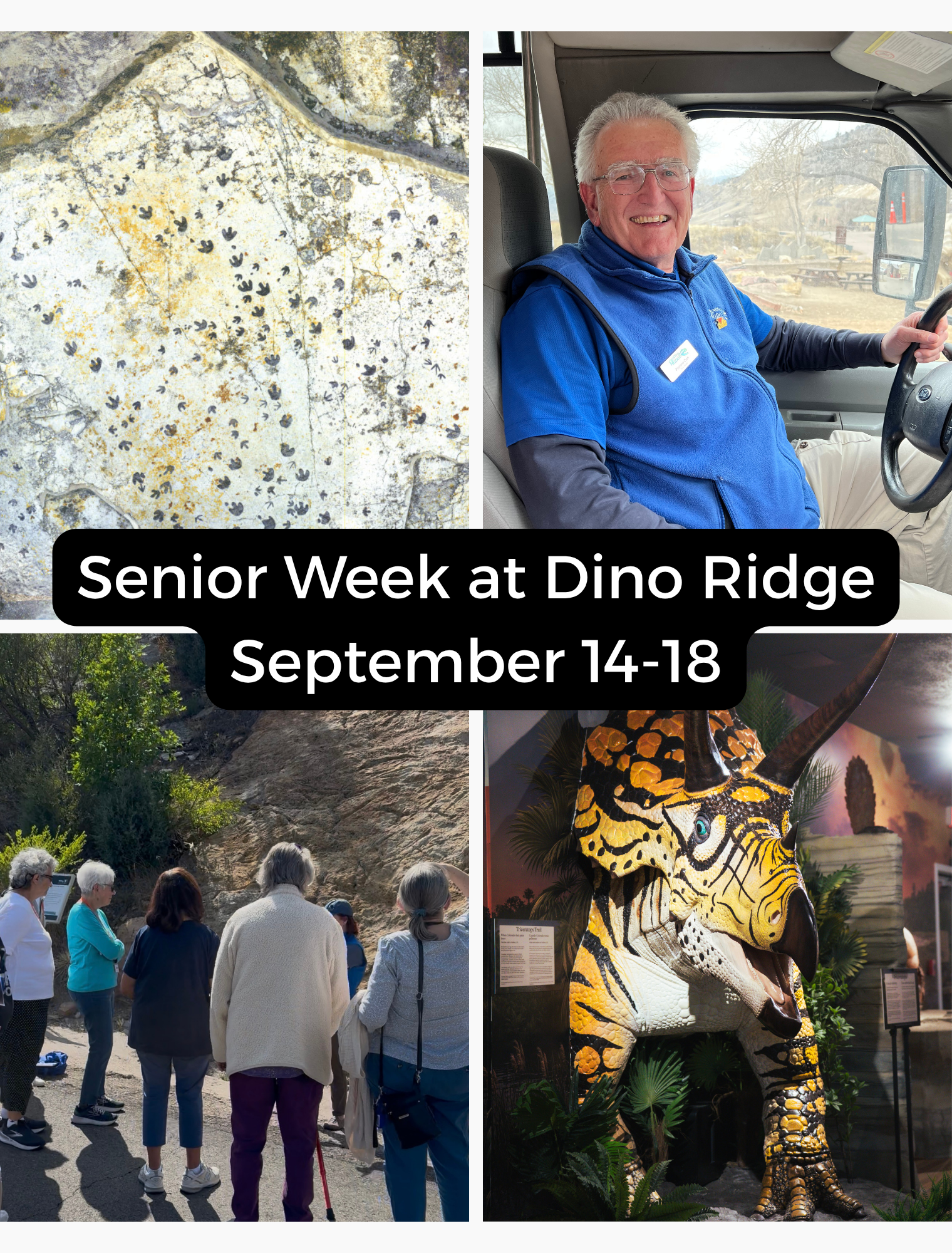 Images of senior adults at Dinosaur Ridge