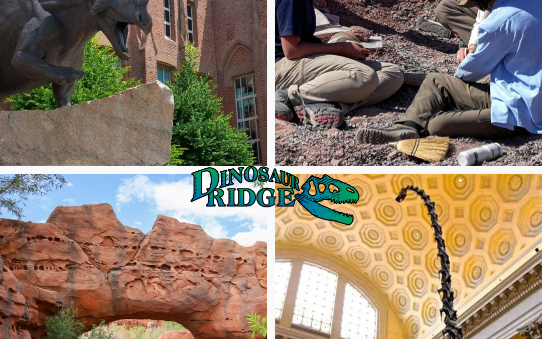 Fireside Chat: Paleo Trips to Utah, Connecticut, Massachusetts, and New York City!